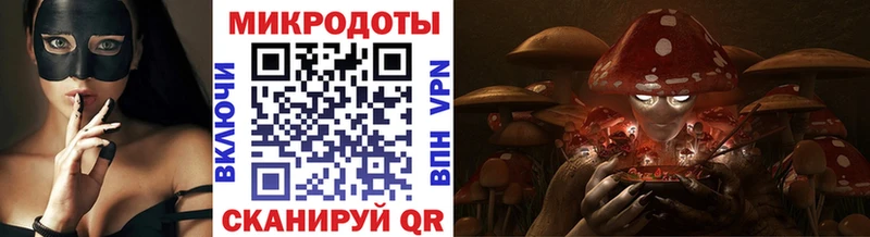 Псилоцибиновые грибы MAGIC MUSHROOMS  kraken   Суздаль 
